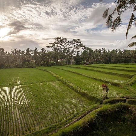 Junjungan Ubud Hotel And Spa Dış mekan fotoğraf