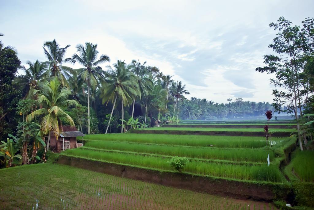 Junjungan Ubud Hotel And Spa Dış mekan fotoğraf