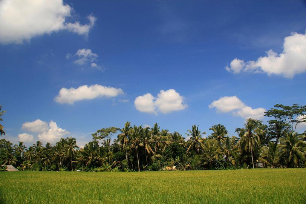 Junjungan Ubud Hotel And Spa Dış mekan fotoğraf