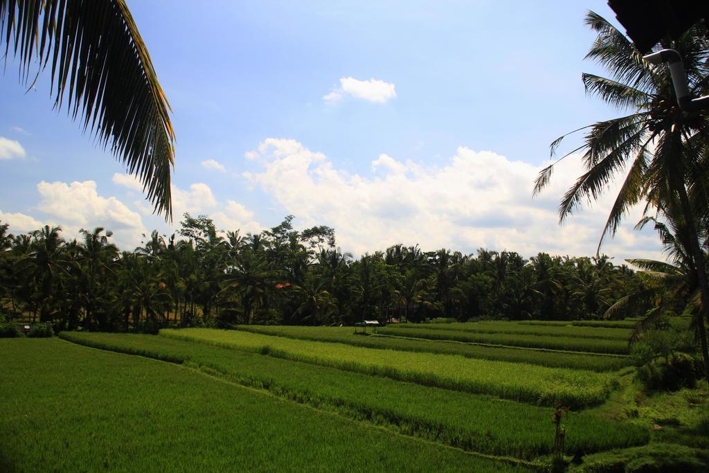 Junjungan Ubud Hotel And Spa Dış mekan fotoğraf