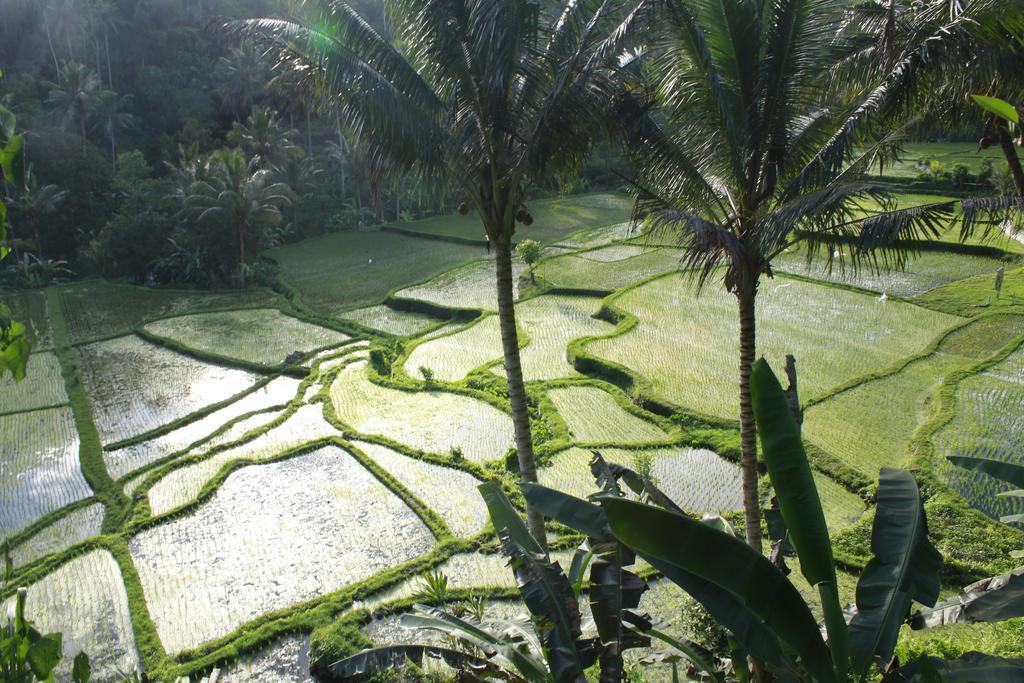 Junjungan Ubud Hotel And Spa Dış mekan fotoğraf