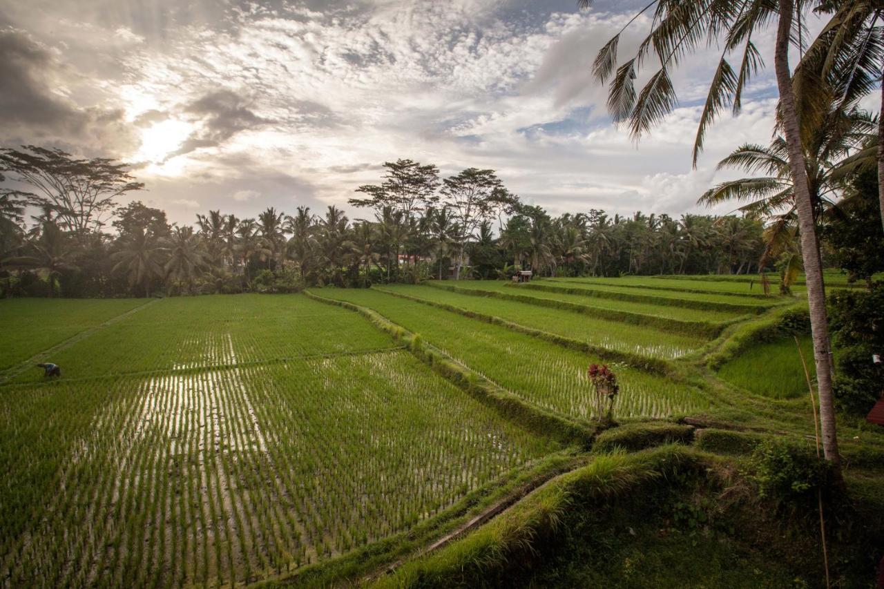 Junjungan Ubud Hotel And Spa Dış mekan fotoğraf